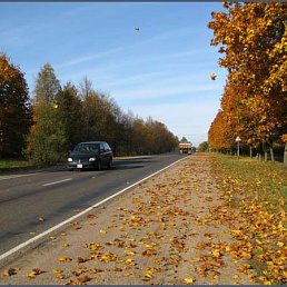 Дорога в пейзаже