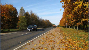 Дорога осенью